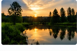 Vereinsgewässer bei Sonnenuntergang